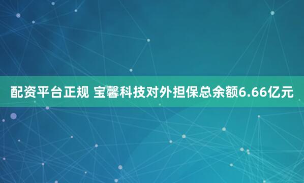 配资平台正规 宝馨科技对外担保总余额6.66亿元