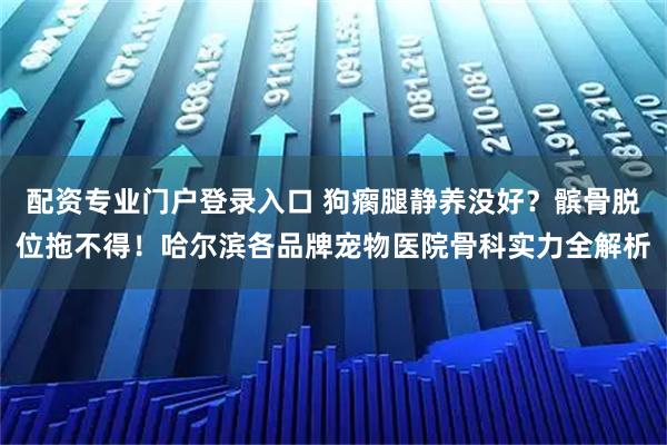 配资专业门户登录入口 狗瘸腿静养没好？髌骨脱位拖不得！哈尔滨各品牌宠物医院骨科实力全解析